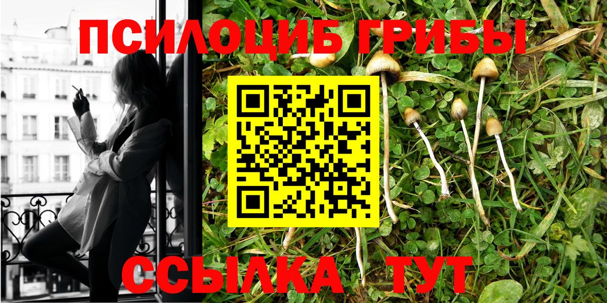 Псилоцибиновые грибы MAGIC MUSHROOMS  Галлюциногенные грибы Magic Shrooms  Павловский Посад  Вход с VPN 